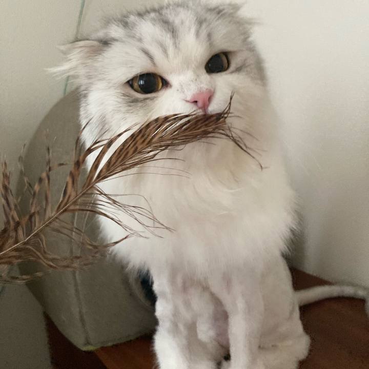 8c115f66 01a6 4caa ae75 7028cf9a1efe 1719839071943