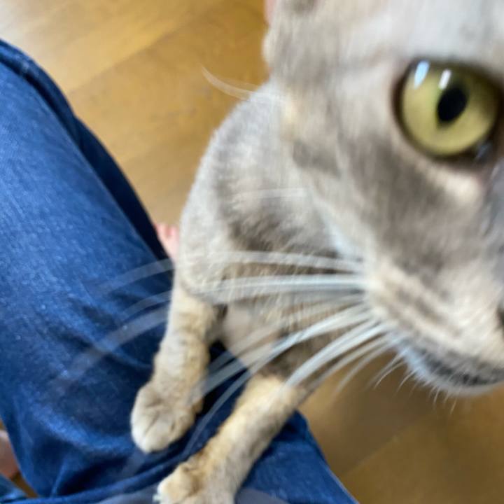 8c1160c7 9939 4ff0 813b cdf7e1860030 1594296905839