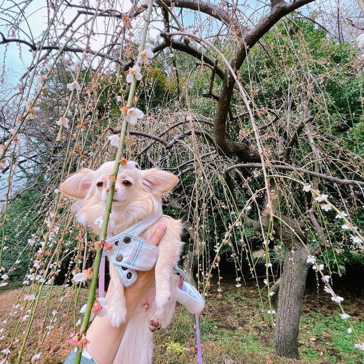 8c11971b b1ca 46ca 8a15 5203f1e8e9a5 1647694802703