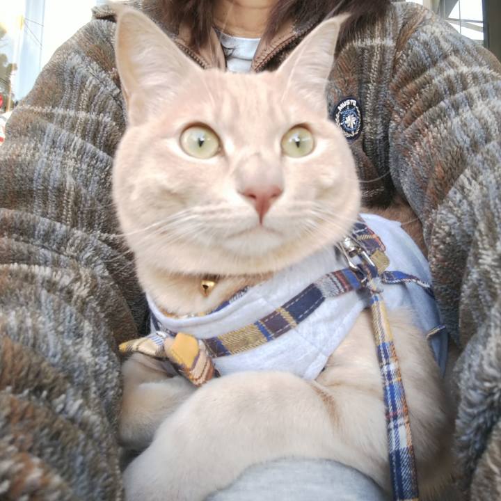 8c11a20e 7f06 44ae 842b 6ad3a0bd5249 1572216539872