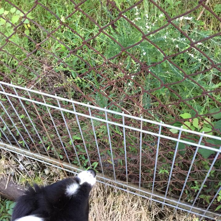 8c11b797 09ed 4ba9 adb4 7c6d3775cb1c 1567640916552