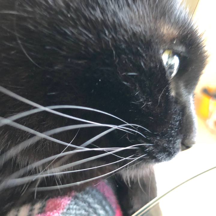 8c11b986 17c4 44ab a66b cd2a86af6942 1519436131582