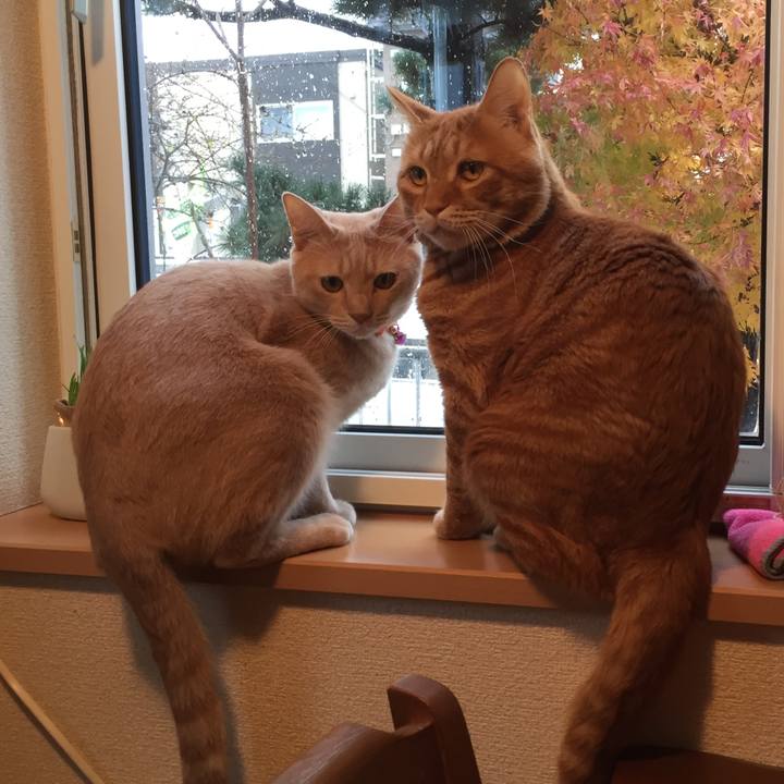 8c11ca31 e2b5 408e 8052 d14e0db7e893 1574343180810