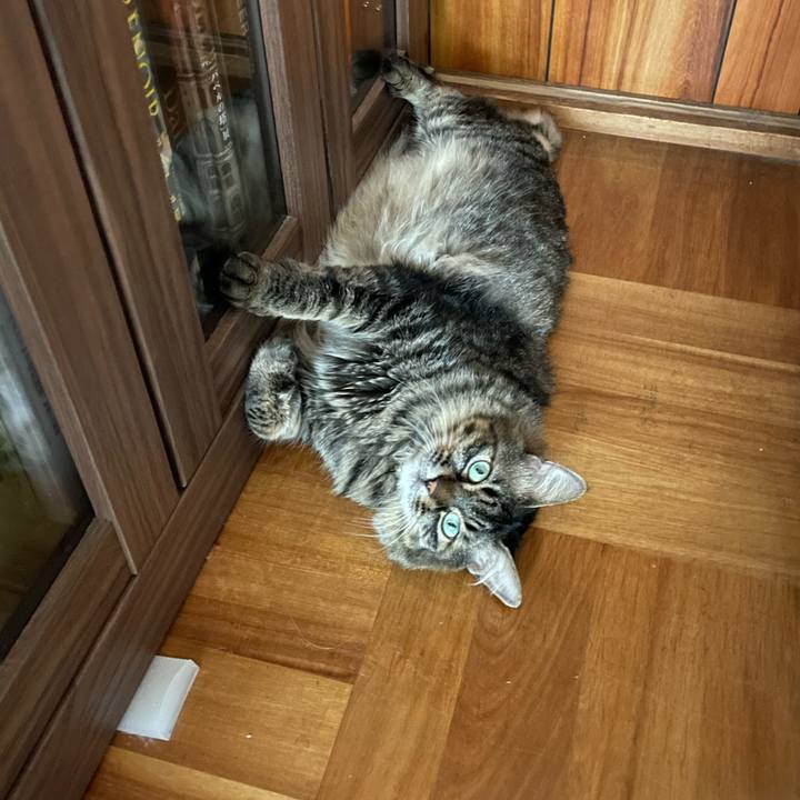 8c11df1c 7ea5 4650 952d 85d1adb42789 1659428522757