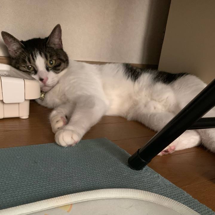 8c11fa97 c73e 4d05 85c5 98252bb9e253 1691027850290