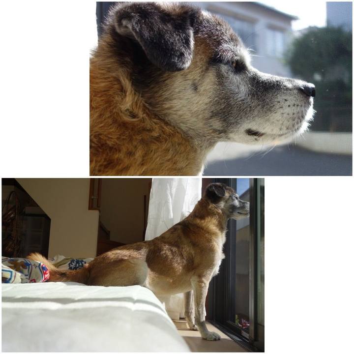 8c1273ff 88c6 4cf9 8c7a b4cfd6965f50 1573984810849