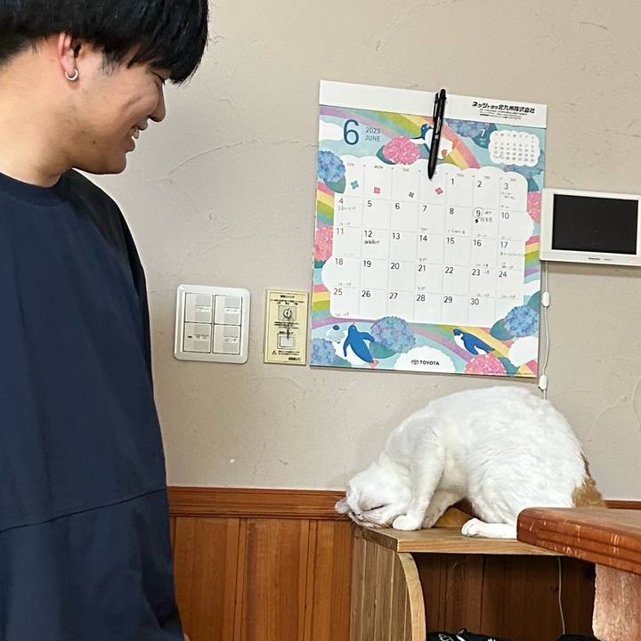 8c127511 157b 489a 8c0e c840c1de72c5 1687673669706