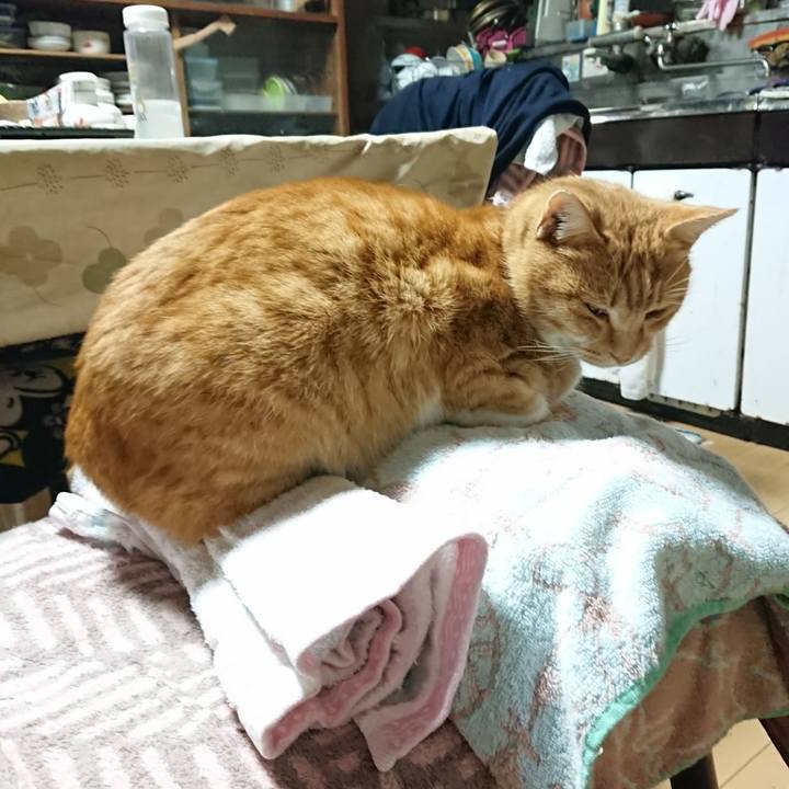 8c1285f5 fd96 453e 9198 5204204c3c88 1606682386114