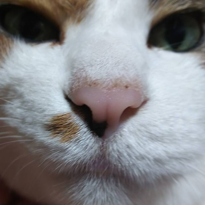 8c12b482 61c6 4bac b15e 62492814ebc4 1571472578407