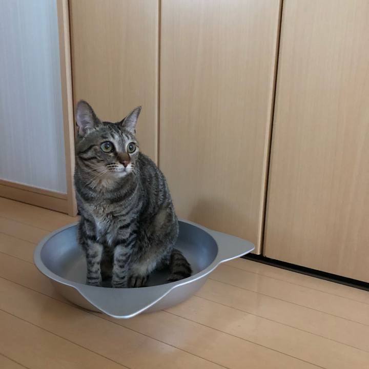 8c12cf11 aad8 4559 a978 6af10736cfa1 1528559144766