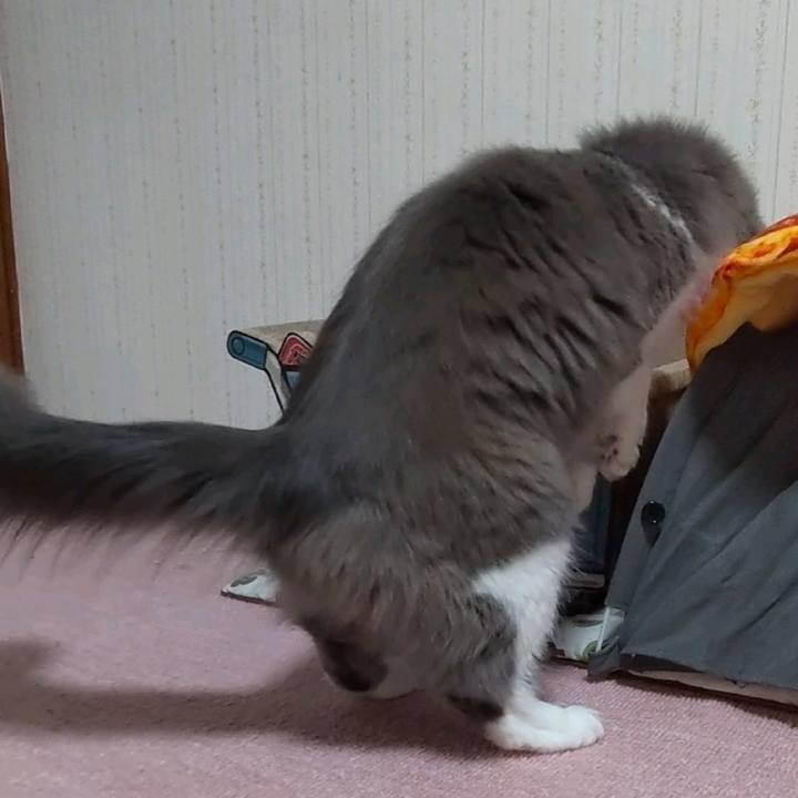 8c12e1ea 7d0f 4b92 a07a e9956001b79f 1642891381487