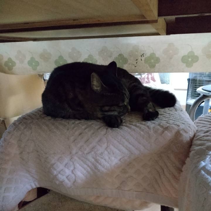 8c12f68c ef23 4901 9936 fa79213f6418 1667948212332