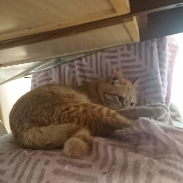 8c130562 7bf7 447e 80cc 9a5826cc28f4 1652737871552