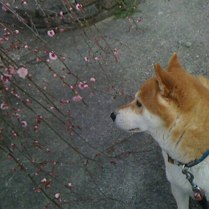 8c13102d 2772 4cfb b6ea 3bc113adf95f 1550977008339