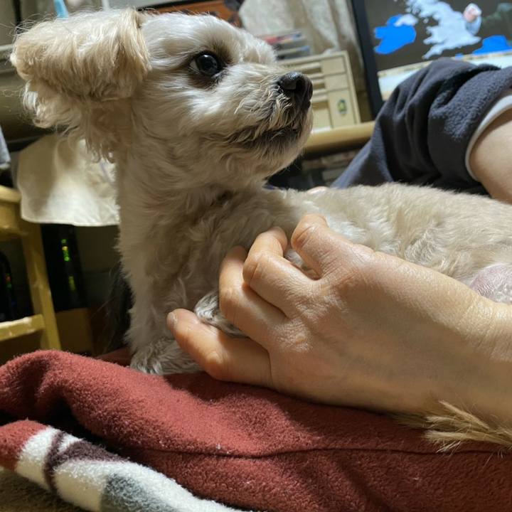 8c133371 b425 4073 8f0d f99923d3db44 1580486522566