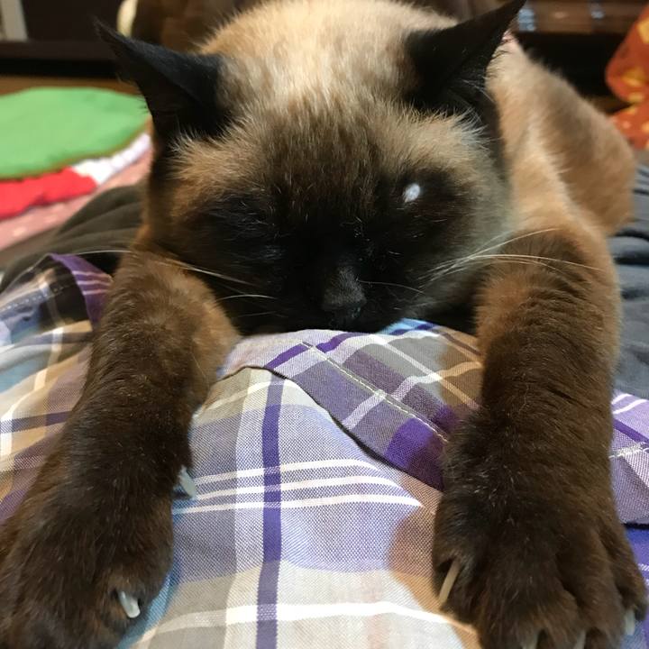 8c134031 ec3f 4fed 9ecf faea882647bd 1528470797621