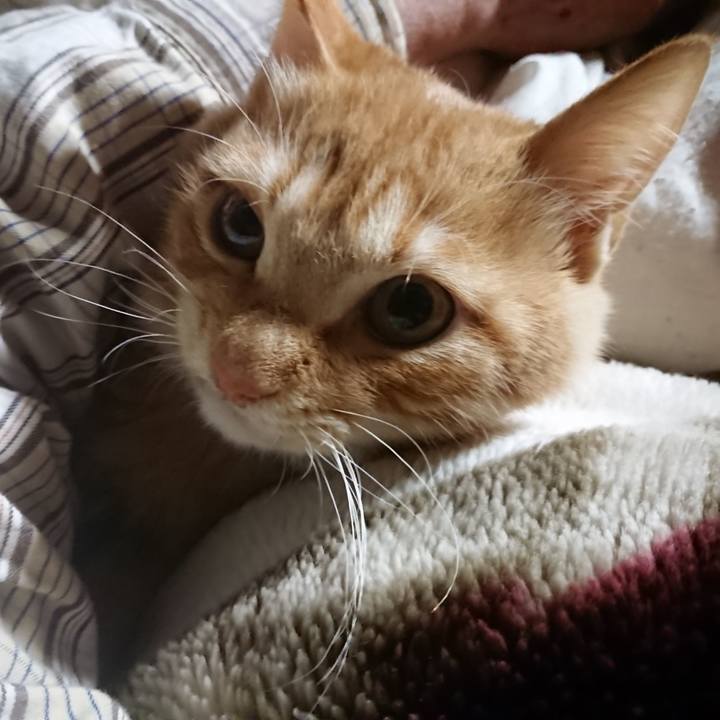 8c1341bc 2e65 4a92 8d87 93ea37ee54aa 1636748613280