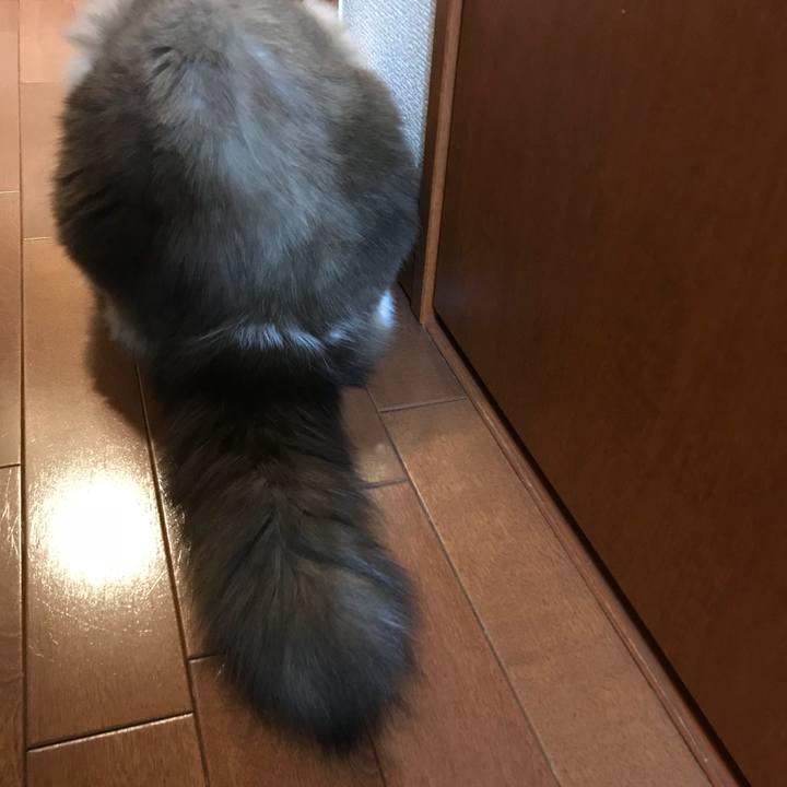 8c134973 d42f 4b37 9df6 e223250c5caa 1511092318302