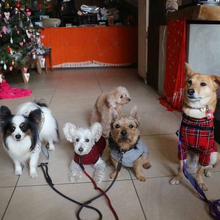 8c1363ae 172d 4f24 b1b5 62dce848de1e 1544518069834