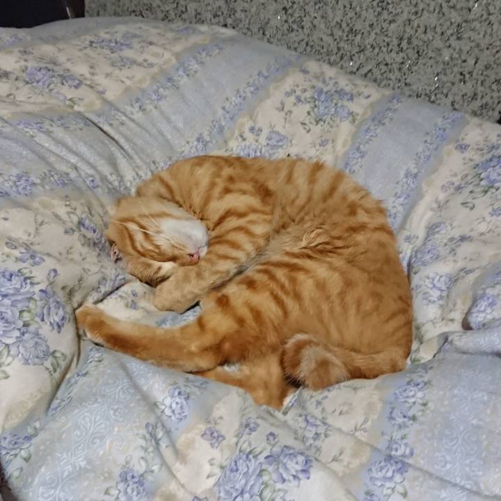 8c13785c 621d 4140 82ec a18b2d3f9d84 1662898141995