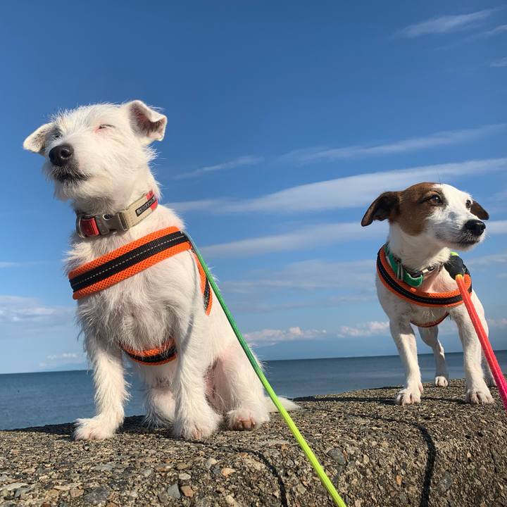 8c13c1a1 63c5 4ebe 9222 d0944bd514b4 1763107614112