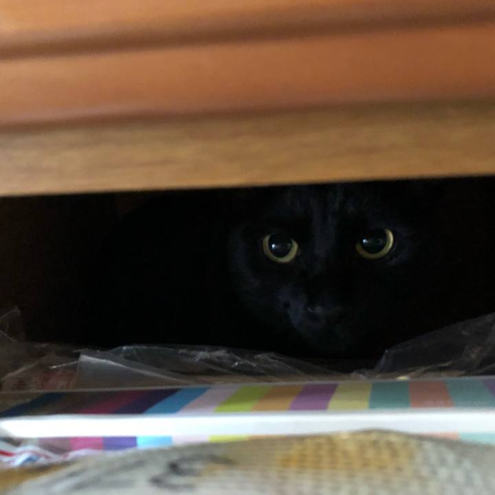 8c13c1d1 d012 4db8 9939 21b03ed62862 1528374694009