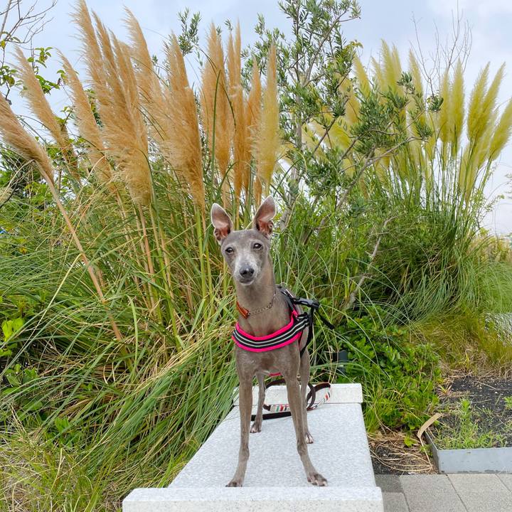 8c13c3dc 981e 49e0 8446 184242d63fe0 1757579686086