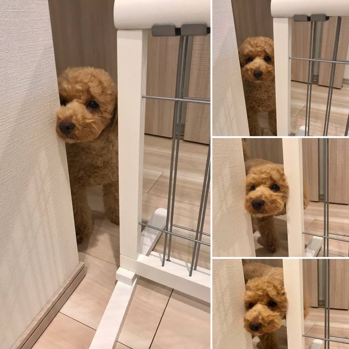 8c13c85f d541 4e84 ab66 c6fb1de36d06 1550221044643