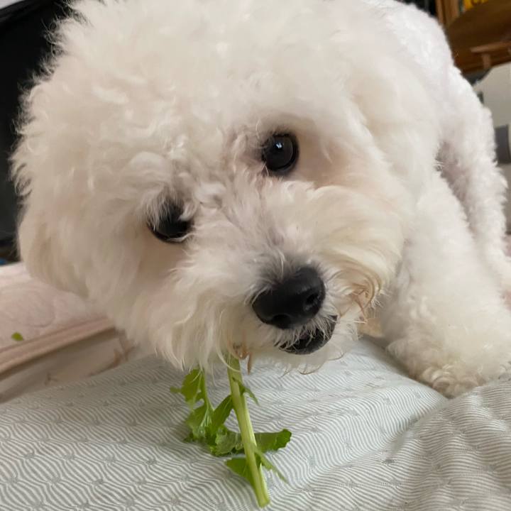 8c142bee 7522 4899 b6ce e49496c71a7c 1760835840782