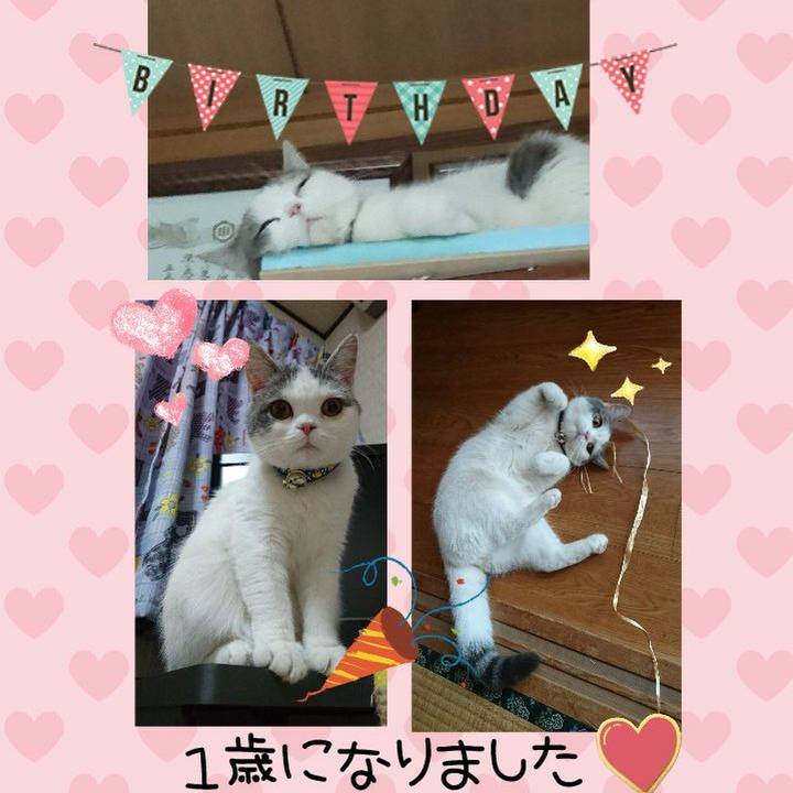 8c14544d cd31 449a a49e bfe96259942e 1551404494334