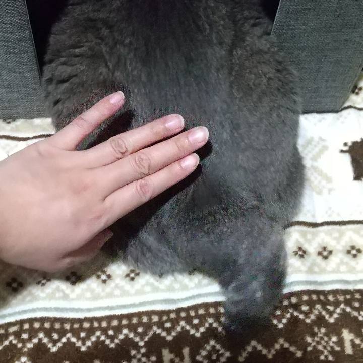 8c147049 a140 4acc bab2 c76ad2fcf0fd 1667899915395