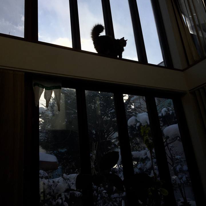 8c14ad12 b84f 4cc2 a7fc c560e85180b8 1546790569438