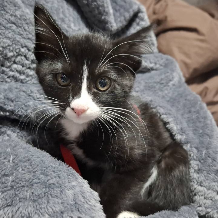 8c152546 e5c0 47c4 b47b 9cde16f20d8e 1749449154208