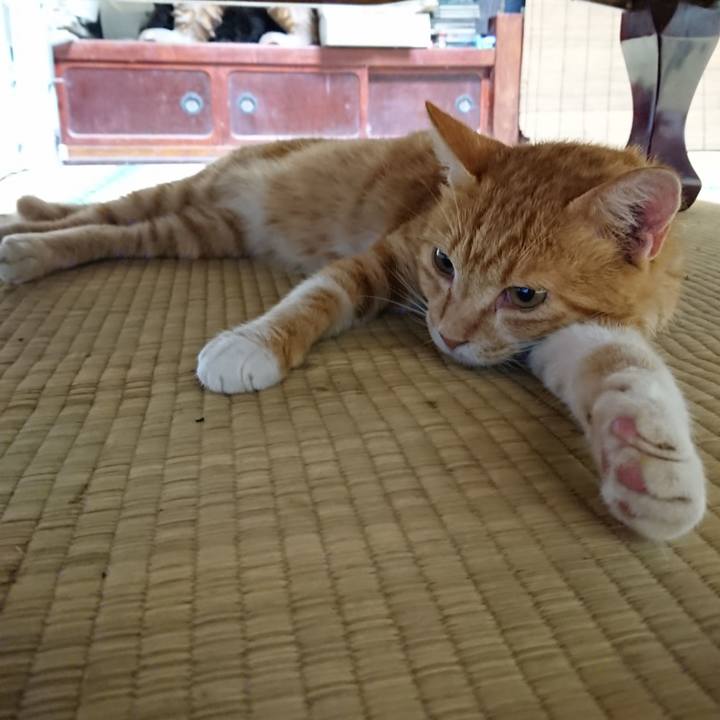 8c152eed 0fe3 4c9c 9054 2e1ba498790d 1566506916592