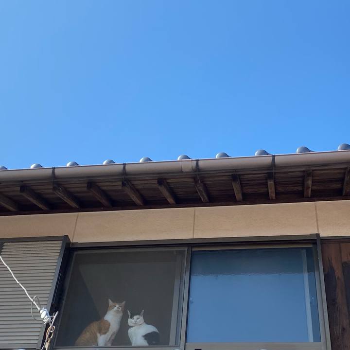 8c152fc5 824c 46b6 81dc 22bdcc6582f4 1649407904595