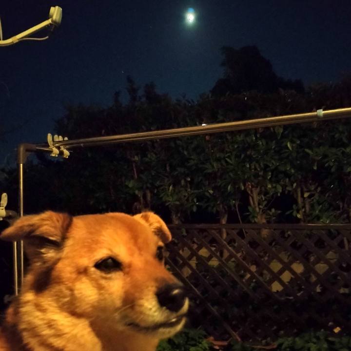 8c154b8c 7492 4691 9d4c ac5e0702c189 1718797812995