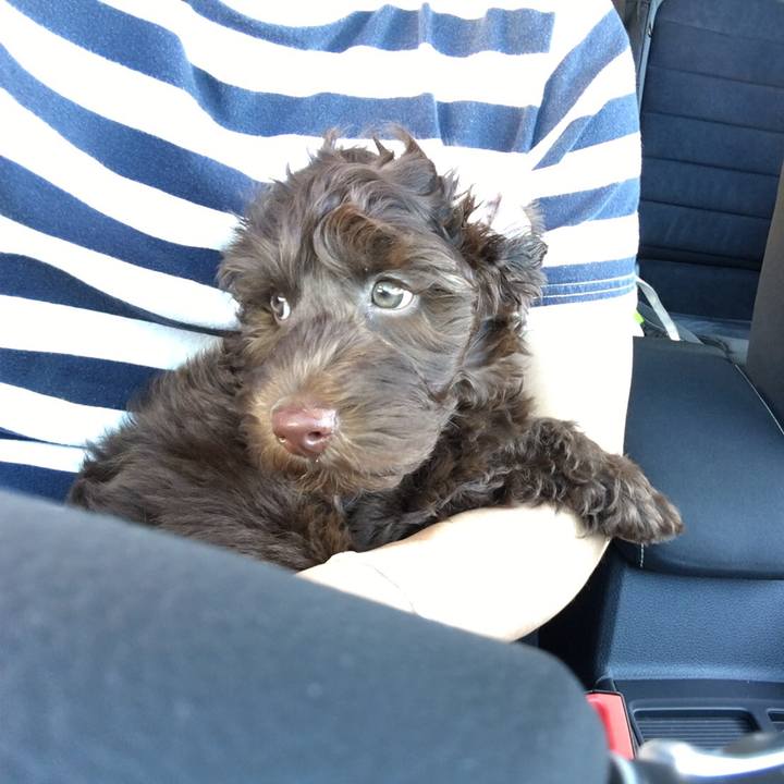 8c15b4f4 7f48 4be7 90b9 a46f6edca6af 1540965836754