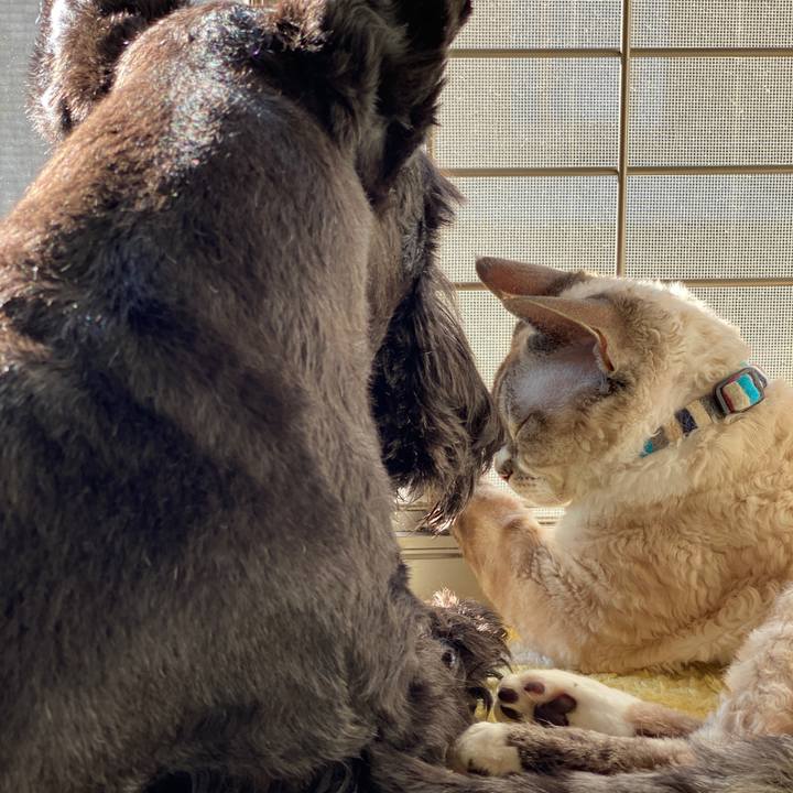 8c15c491 1bed 4f90 bfd1 7aacdbb8a93f 1639285380556