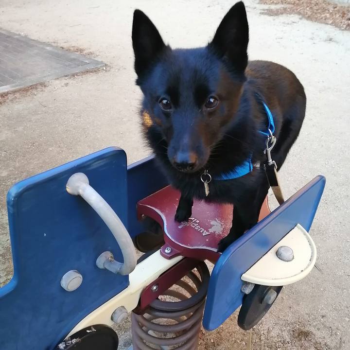 8c15ee25 4e07 4b0a b788 e4891697e806 1610145106170