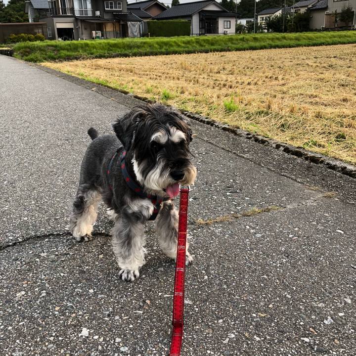 8c16225d f7fb 471b 9b7f cbfae5dc9962 1663202625719