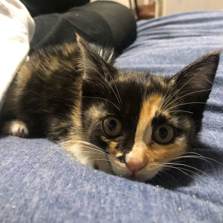 8c162aab 70bc 4da5 80cd 2b54673105b9 1623931448912