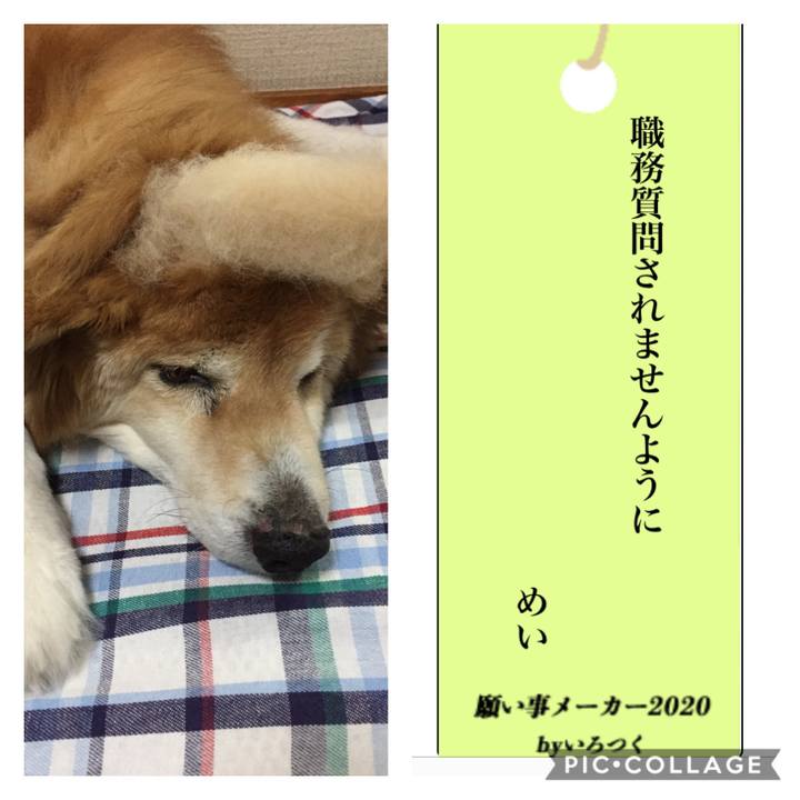 8c162e59 d4bf 4983 8cc3 b79e0607d1ed 1594115793585