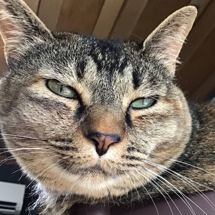 8c1631bc 772a 475e adc7 d50896dda0bc 1721295156801