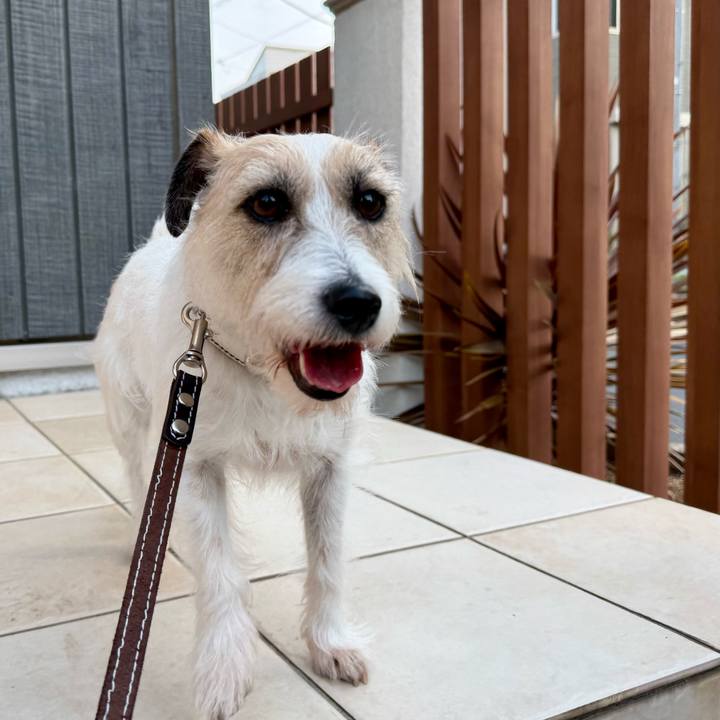 8c1632eb 5b2b 46cd a526 7a8277d55e08 1771898928897