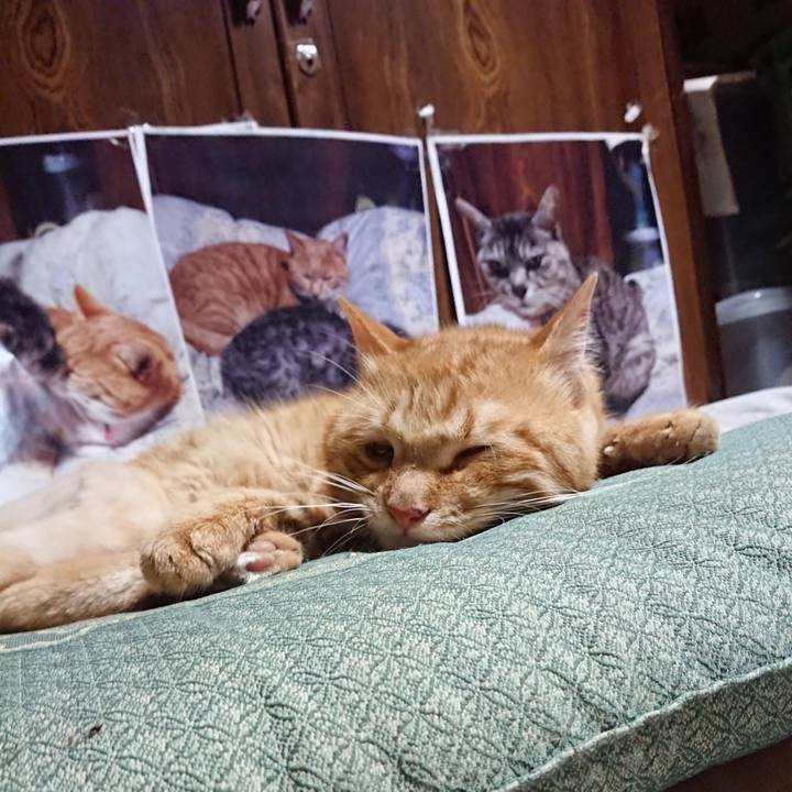 8c164639 d864 4701 a061 db85f1ee5ad7 1656508285855