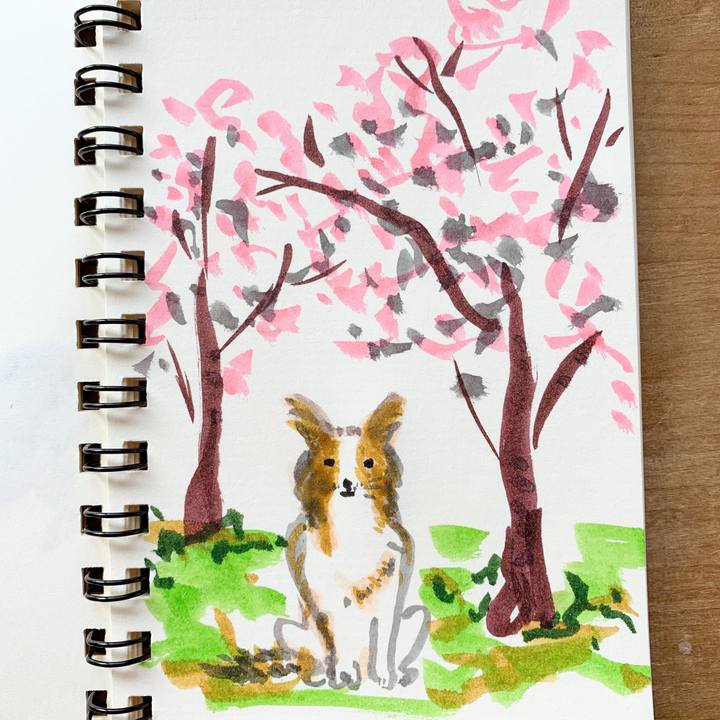 8c166ed0 ce43 4268 bd23 1bb423396122 1587082132615