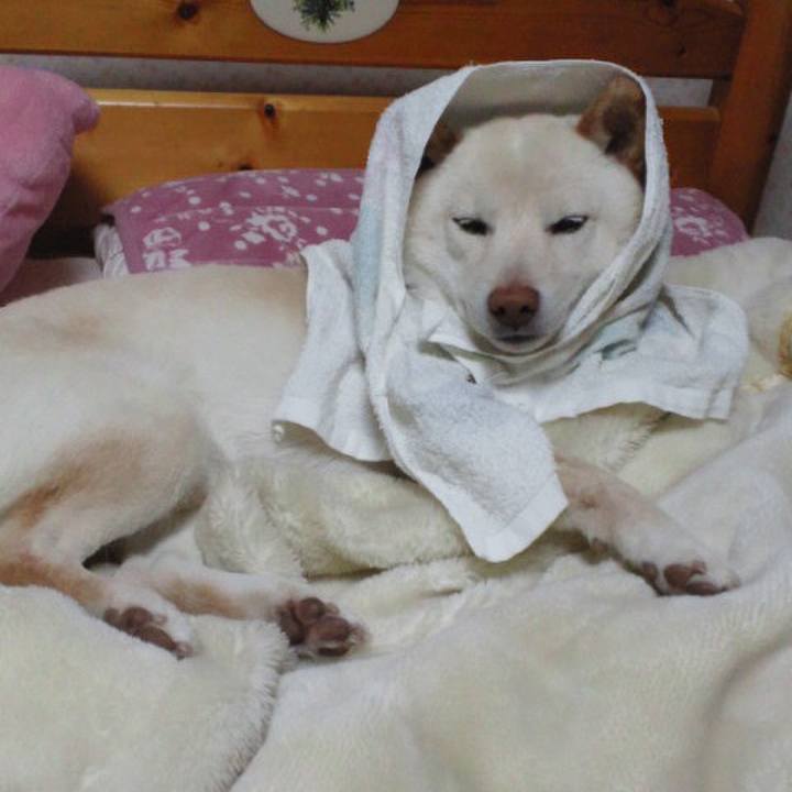 8c168224 a064 4058 af64 68a4471b2c8b 1649425673192