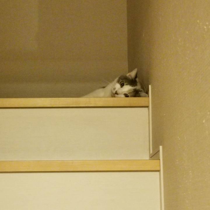 8c168287 6184 4e10 aba6 ed81ce54428c 1643859738497