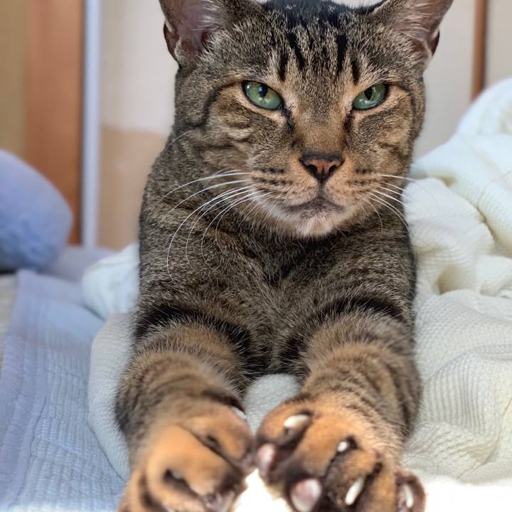 8c168775 8979 4aff 8026 2628ef65990b 1558833416991