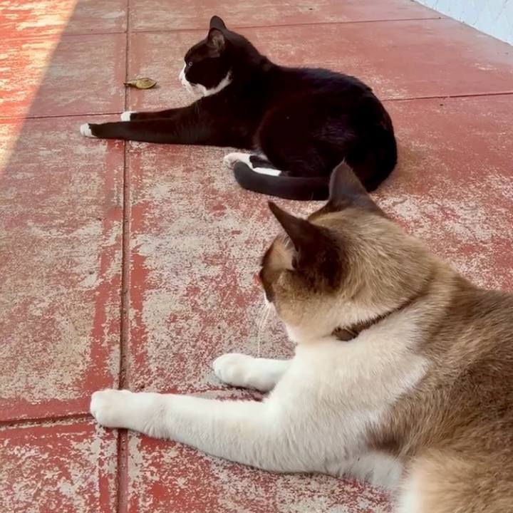 8c169df6 bb69 4249 a022 9db924f17b95 1747102792413